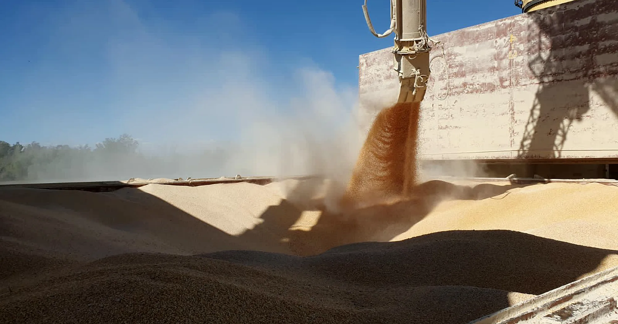 Descarga de granel sólido cayendo por chute a la bodega del buque